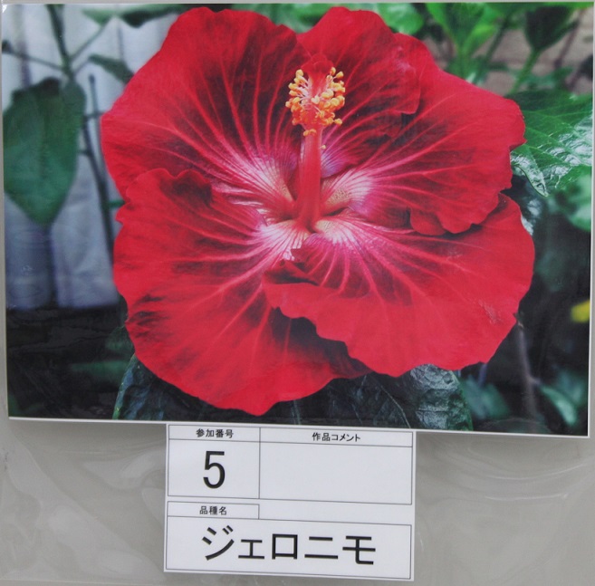 事務局からのお知らせ